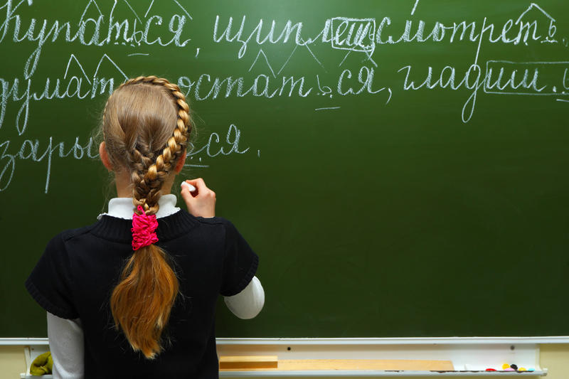 Минобрнауки предложило сделать госэкзамен по русскому языку устным