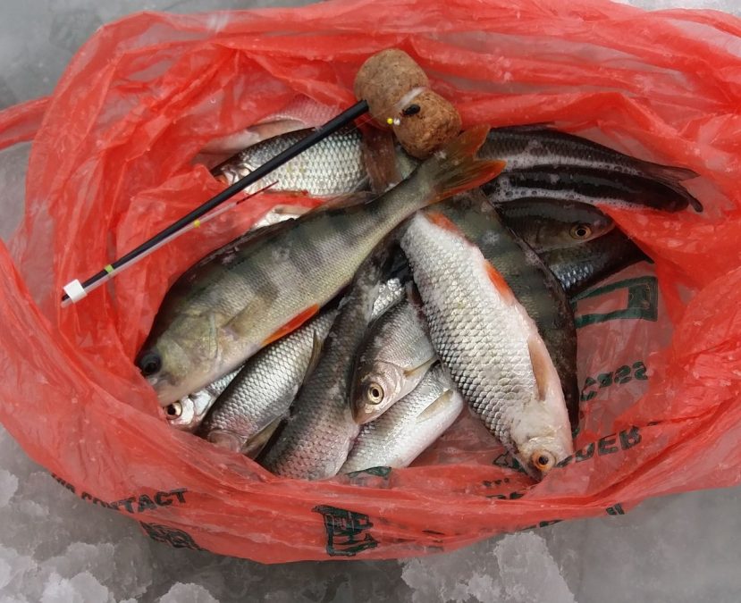 Рыбалку по неокрепшему льду в Кемерове сняли на видео