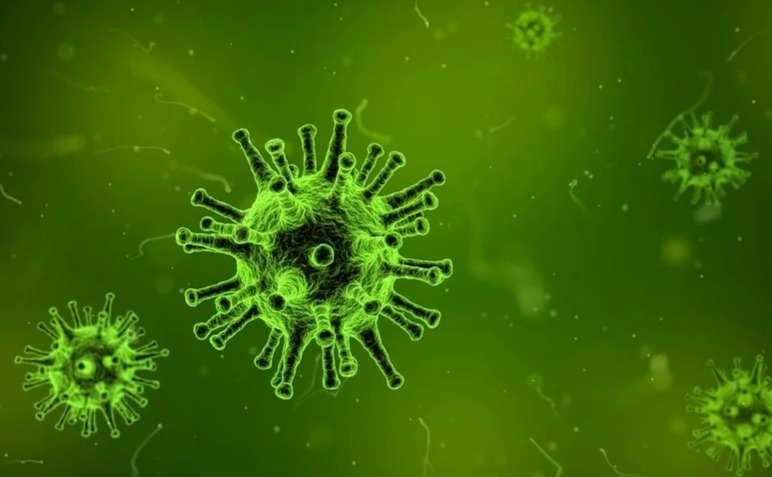 Кузбассовцам рассказали о быстром методе проверки на коронавирус