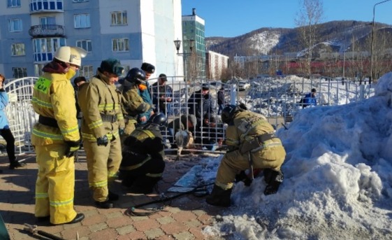 В Кузбассе косуле потребовалась помощь после посещения детского сада