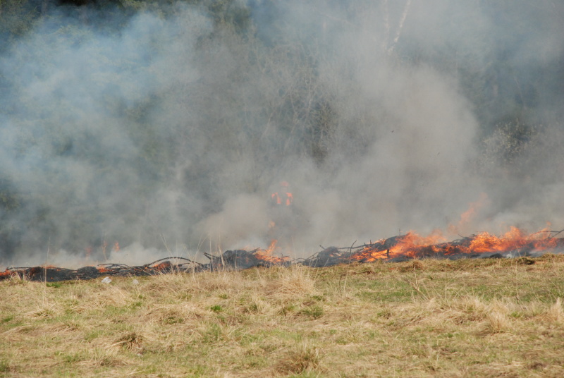 Кузбасские пожарные начали тушить палы травы