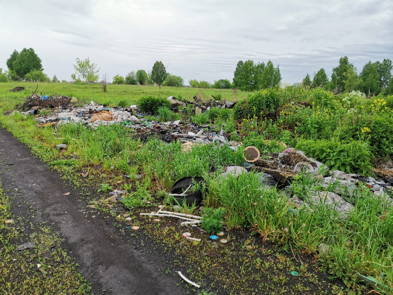 «Тут просто катастрофа»: кузбассовец возмущён мусорными «красотами»