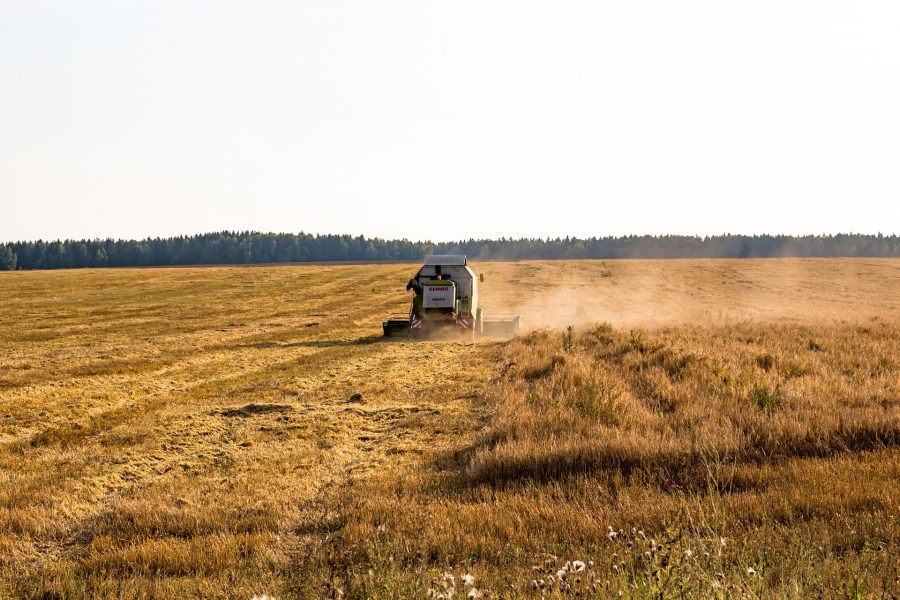 В Кузбассе создают стратегический запас зерна