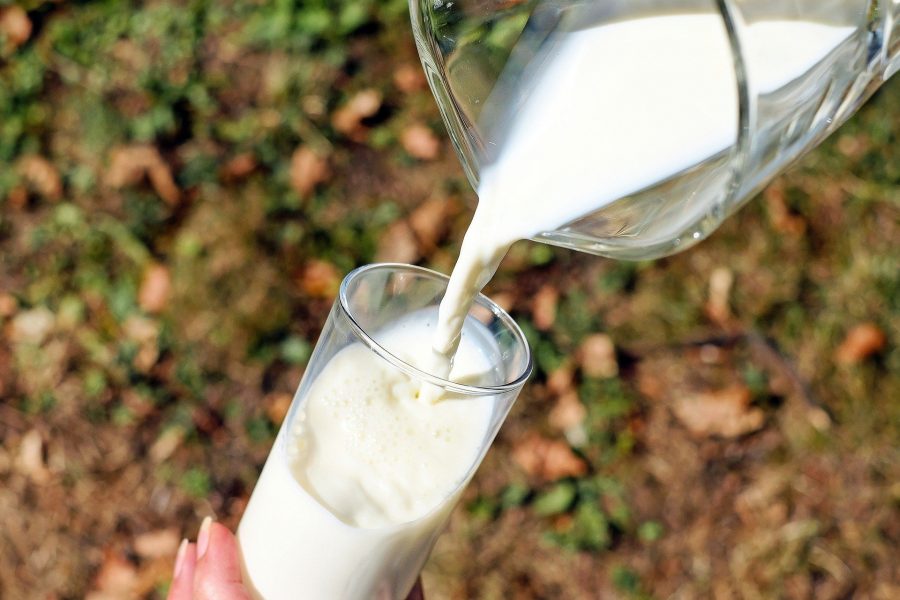 Молоко для аллергиков будут производить в Кузбассе