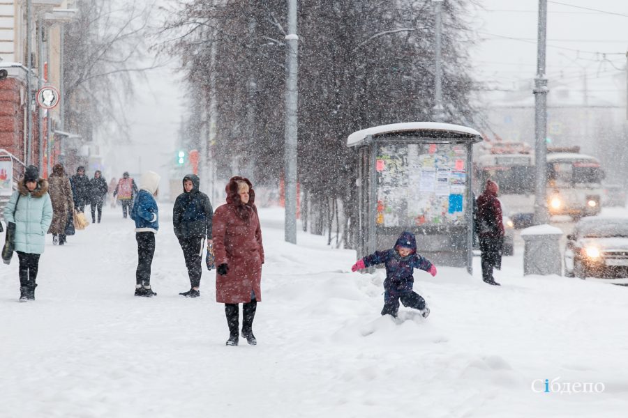 Мороз и солнце: кузбасские синоптики дали прогноз на конец ноября
