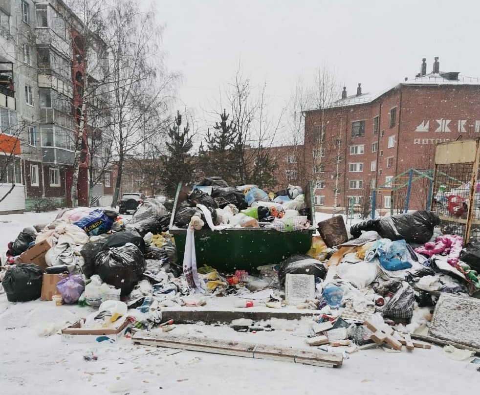 В кузбасском городе двор превратилась в свалку по вине очень странной соседки